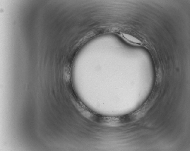 X0000086330719200704271942