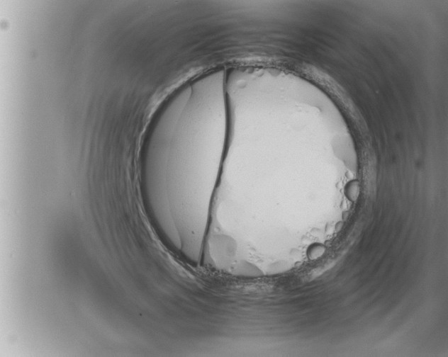 X0000086330721200704271941