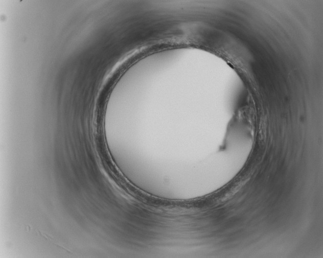 X0000086330722200704271941