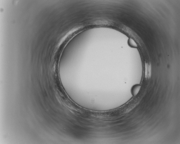 X0000086330723200704271941