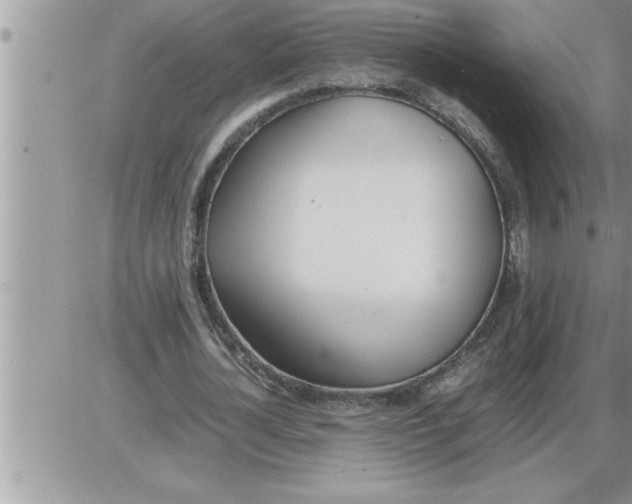 X0000086330724200704271941