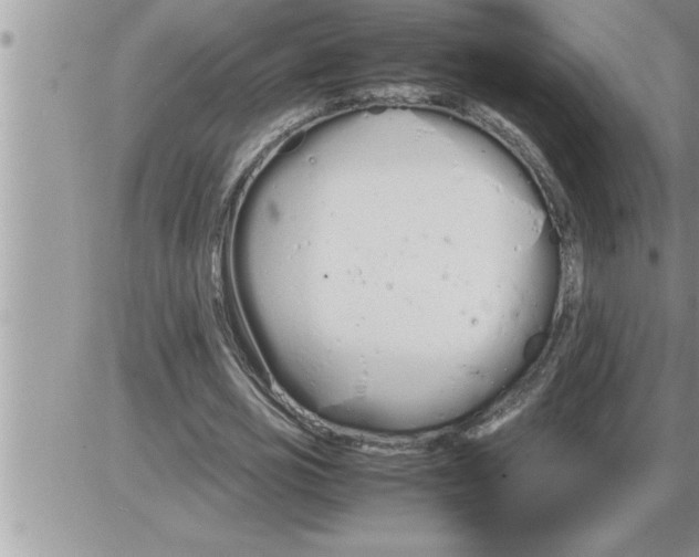 X0000086330725200704271941