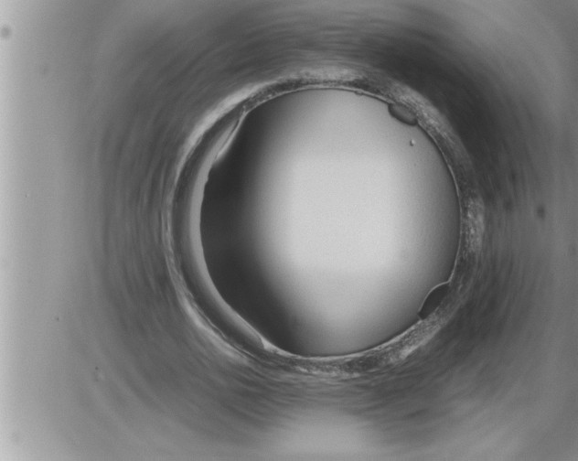 X0000086330726200704271941