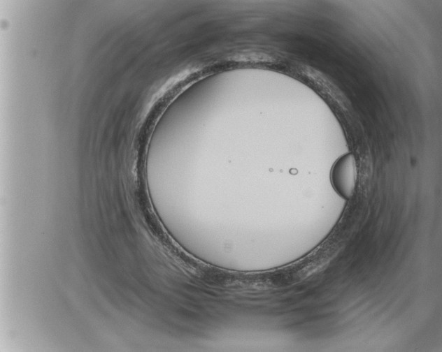 X0000086330727200704271941