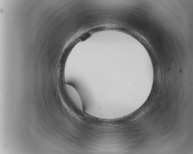 X0000086330730200704271941