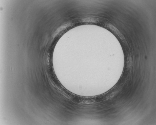 X0000086330731200704271941