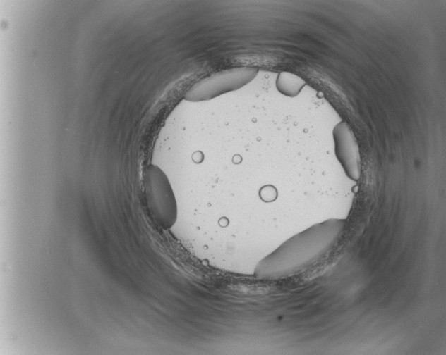 X0000086330733200704271941