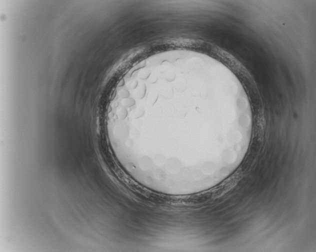 X0000086330734200704271941