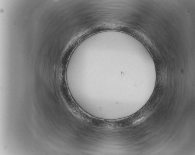 X0000086330736200704271941