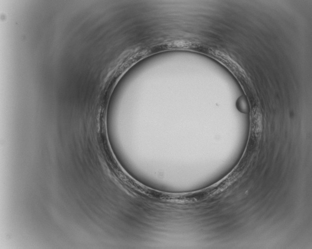 X0000086330738200704271941