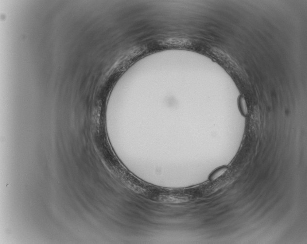 X0000086330739200704271942