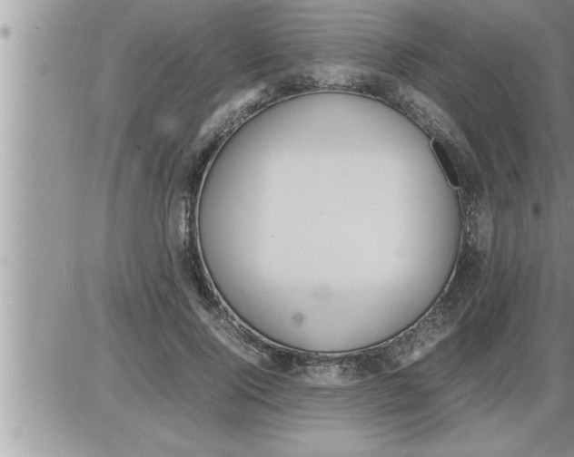 X0000086330740200704271942