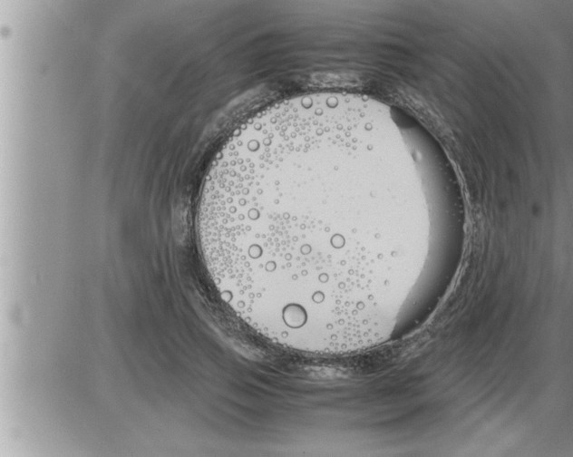 X0000086330741200704271942