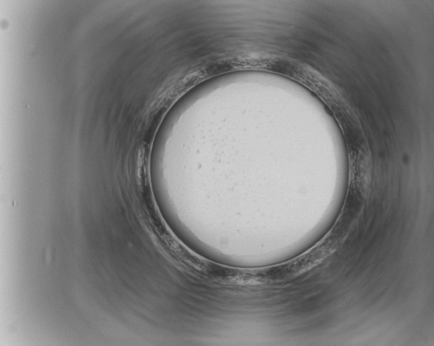 X0000086330742200704271942