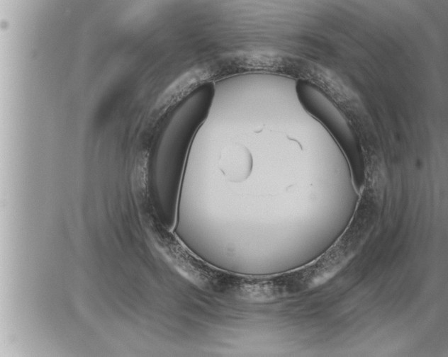 X0000086330744200704271942