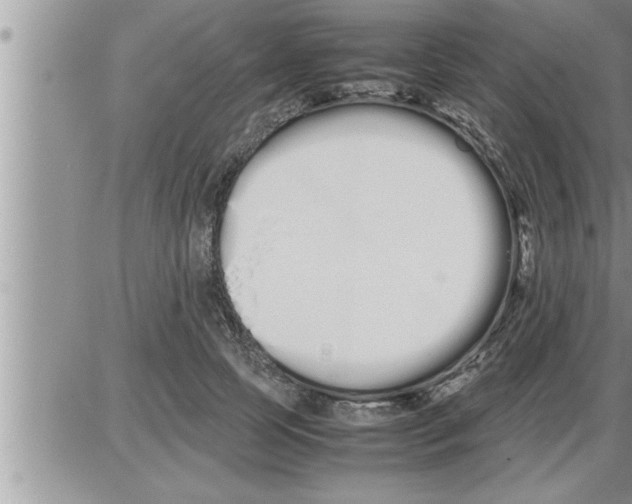 X0000086330745200704271942