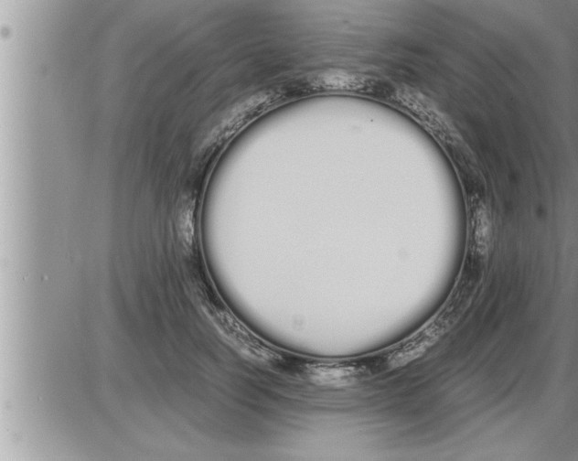 X0000086330746200704271942