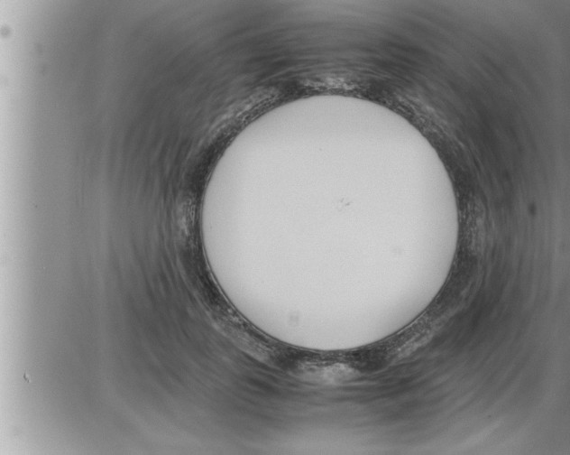 X0000086330747200704271942