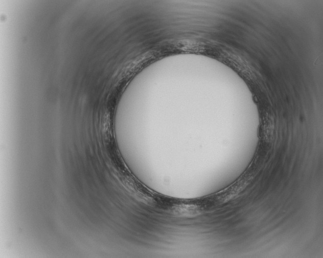 X0000086330748200704271942