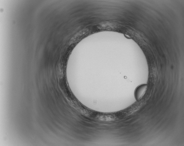 X0000086330751200704271942