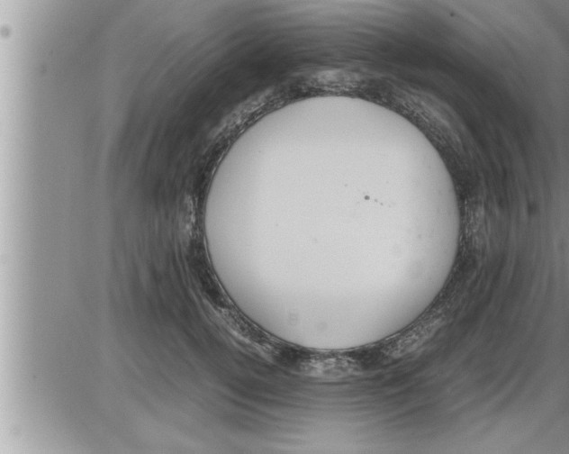 X0000086330752200704271942