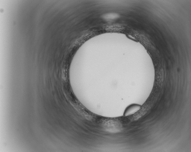 X0000086330755200704271942