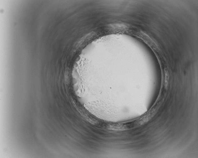 X0000086330757200704271942