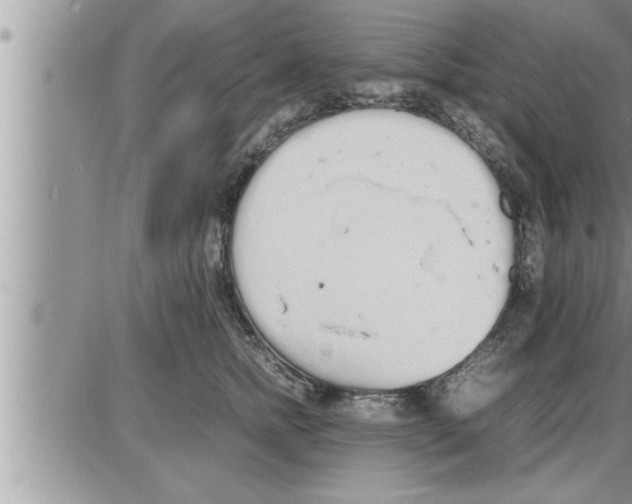 X0000086330758200704271942