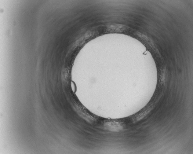 X0000086330759200704271942