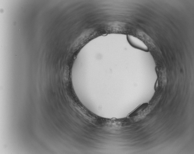 X0000086330760200704271942