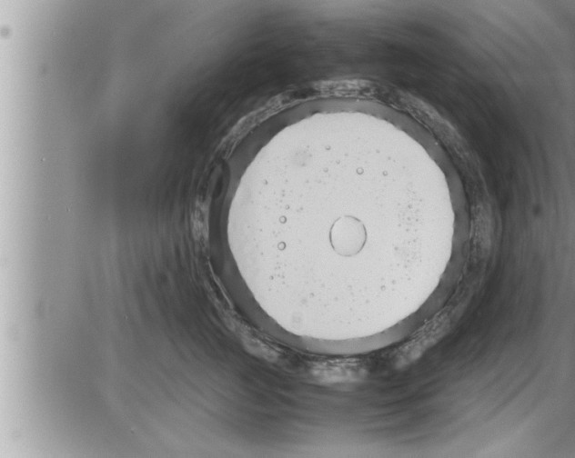 X0000086330761200704271942