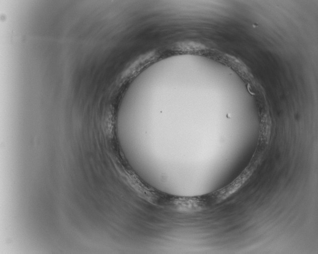 X0000086330762200704271942