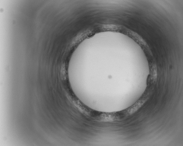 X0000086330764200704271942