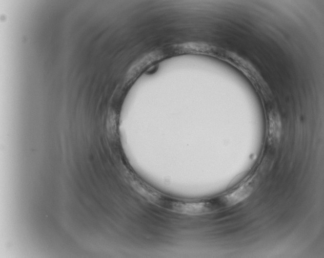 X0000086330765200704271942