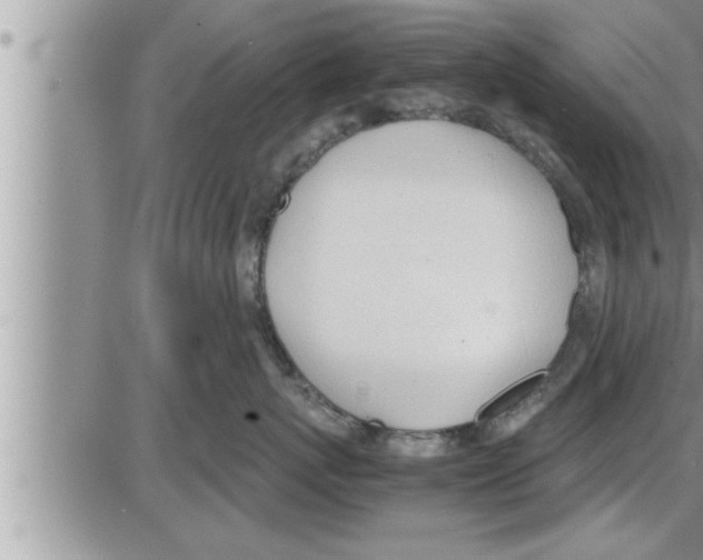 X0000086330767200704271942