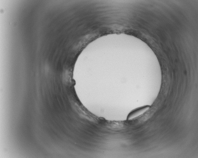 X0000086330768200704271942