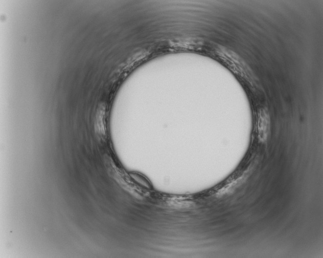 X0000086330770200704271941