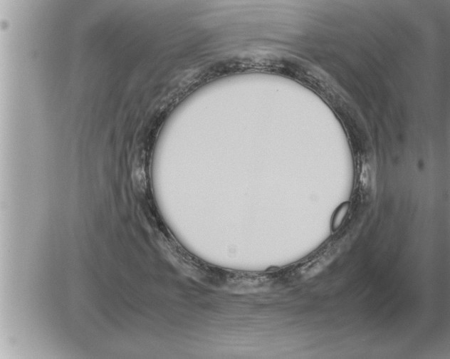 X0000086330771200704271941