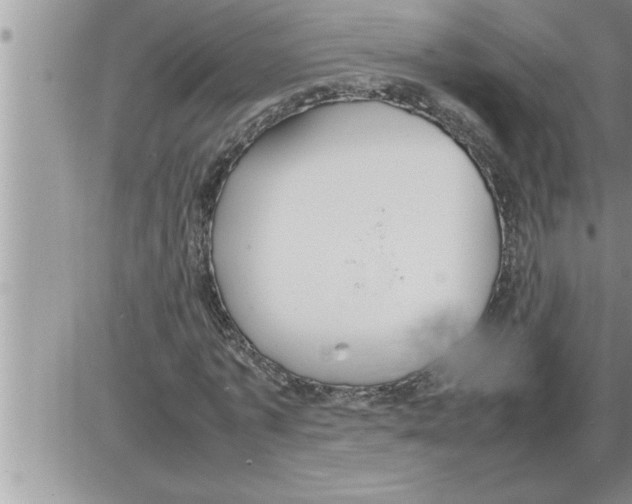 X0000086330773200704271941