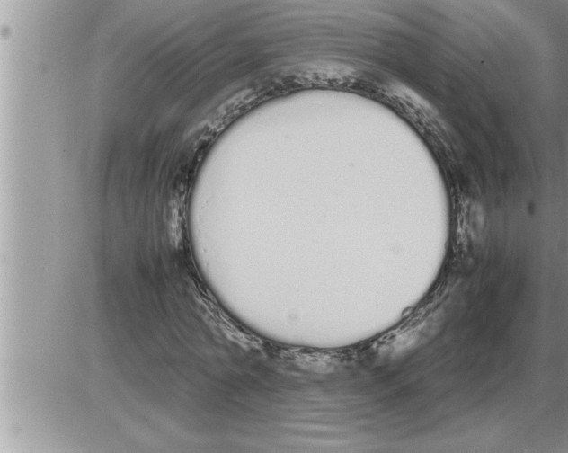 X0000086330774200704271941