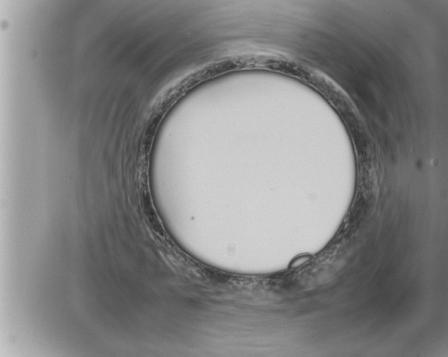 X0000086330775200704271941