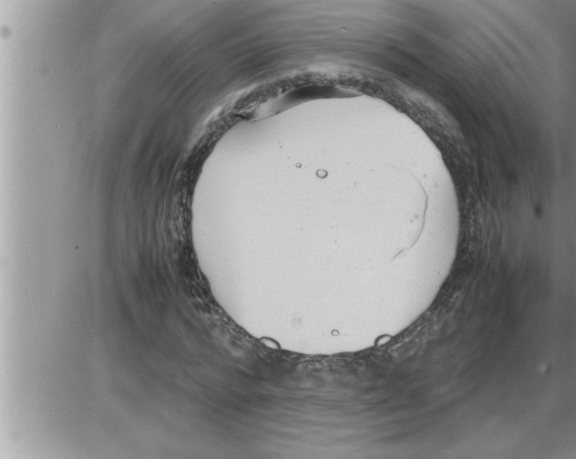 X0000086330776200704271941