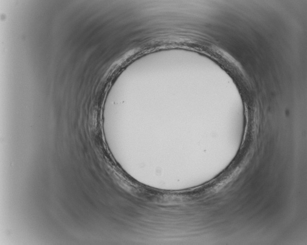 X0000086330777200704271941