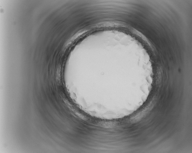 X0000086330778200704271941