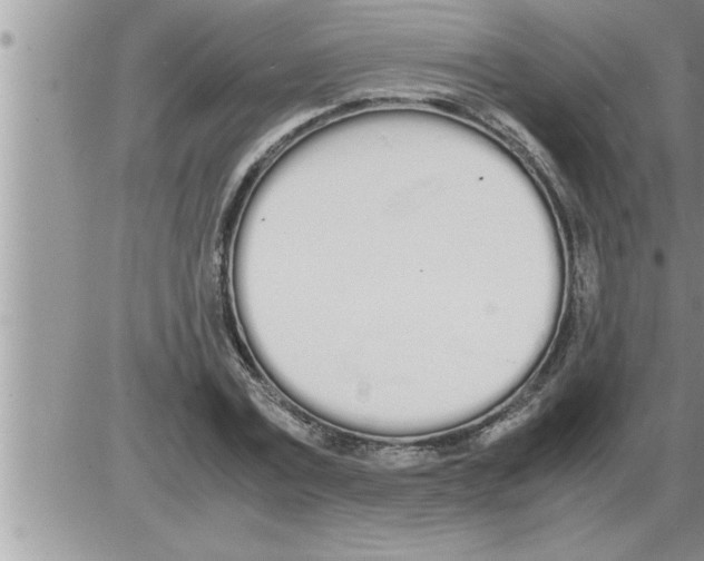 X0000086330779200704271941