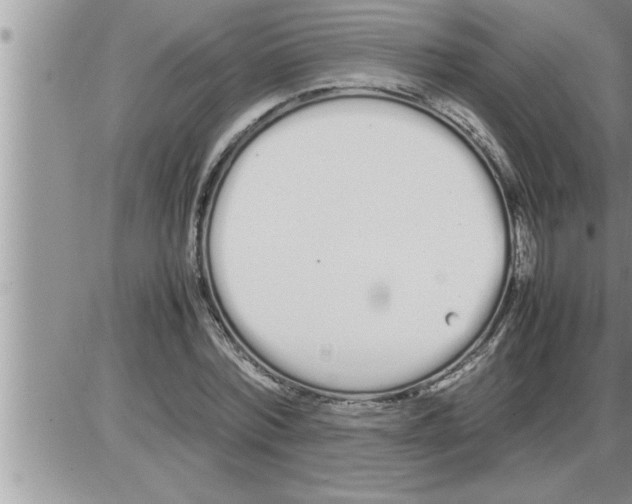 X0000086330780200704271941