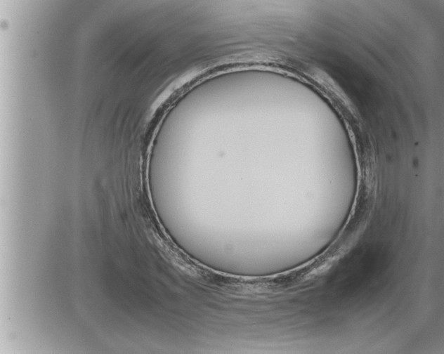 X0000086330781200704271941