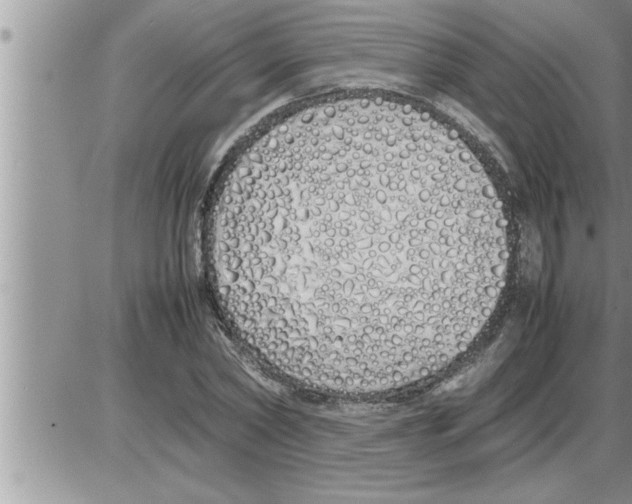 X0000086330782200704271941