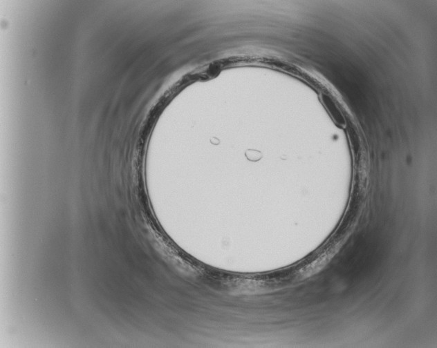 X0000086330783200704271941