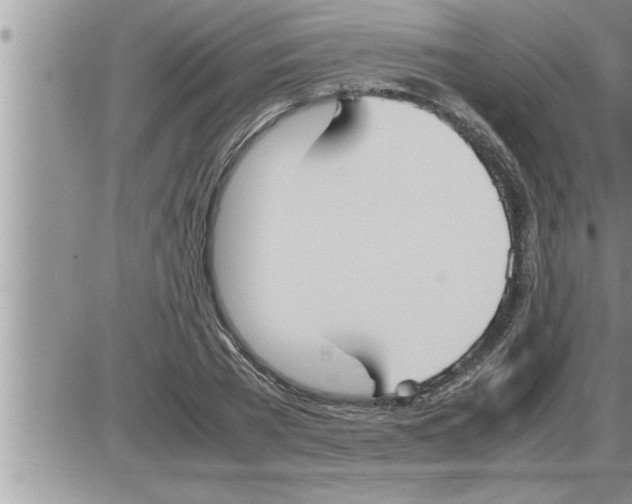 X0000086330785200704271941